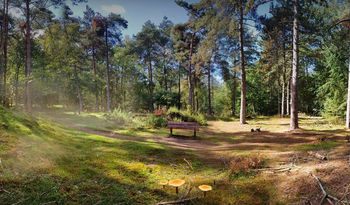 The Nature Game vestigt zich nu ook in Drenthe