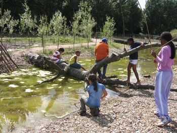 Recht op Natuur in Kinderrechtenverdrag