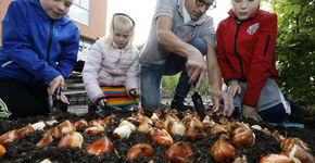 Antoniusschool plant duizend bloembollen