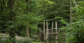 Sneak preview: kidspanel Belevenissenbos