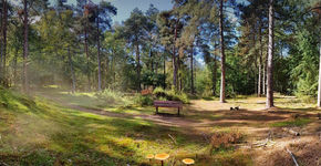 The Nature Game vestigt zich nu ook in Drenthe
