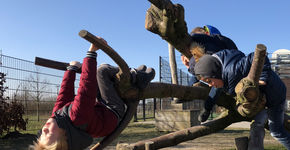 Hoe gaat het met spelen en bewegen in uw gemeente?