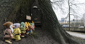 Bejaarde kastanje gaat verder als sprookjesboom