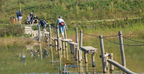 Uitdagende oversteek over waterbuffer in Brunssum