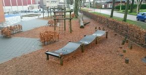 Basisschool de Dolfijn groen en natuurlijk!