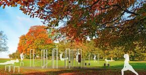 BarForz: fit met Calisthenics toestellen