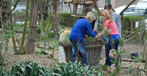Steeds meer bekend over groene schoolpleinen