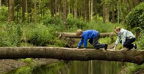 Avontuurlijk belevenissenbos in Lelystad