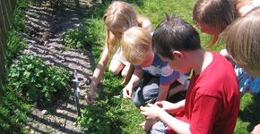 Duurzaamheidseducatie op de natuurspeelplek