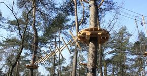 Boomvriendelijk klimbos Simia op de Veluwe