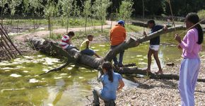 Recht op Natuur in Kinderrechtenverdrag 