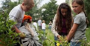 Kinderen claimen braakliggend terrein