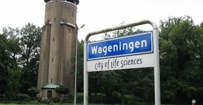 Omgedraaide aanbesteding van acht ton aan speelvoorzieningen in Wageningen