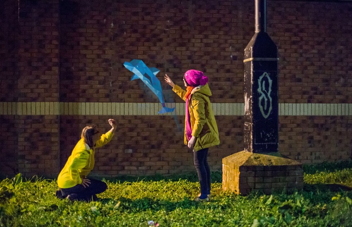 dolphine anton nijholt 